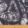 VF 038