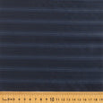 FS 3001