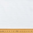 AVS 6
