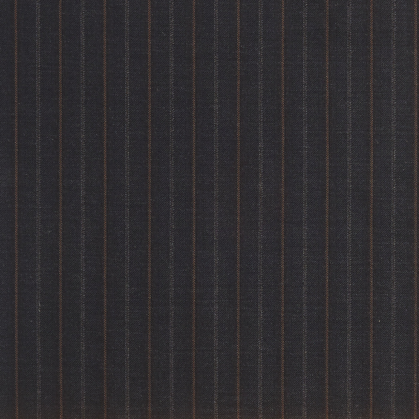 FS 2007