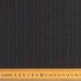 FS 2007