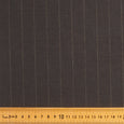 FS 2004