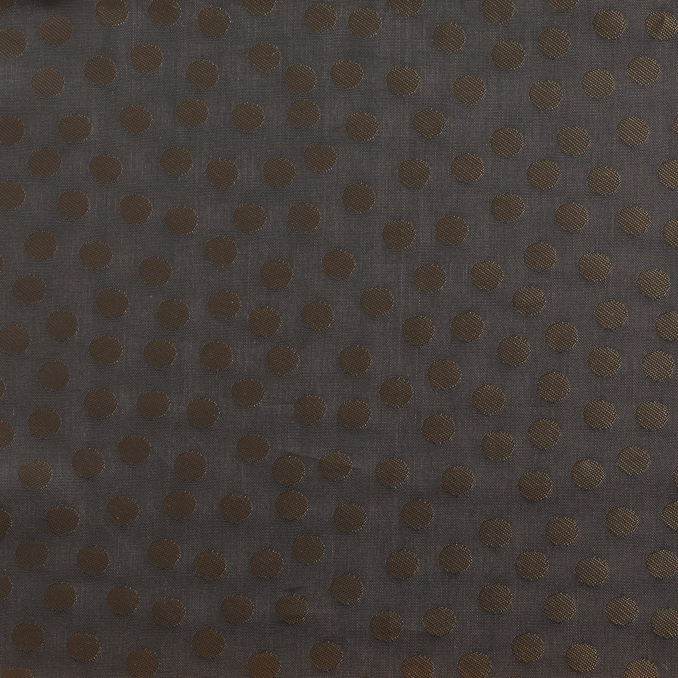 SILPHIDE SPOT