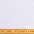 CBO 9747