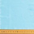 FS 9918