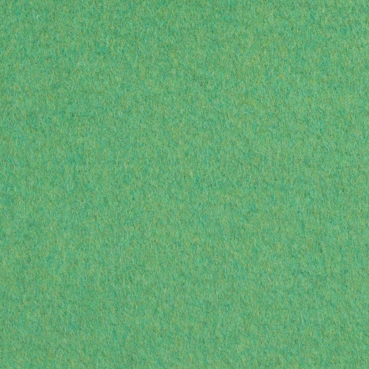 PALAZZO 818097